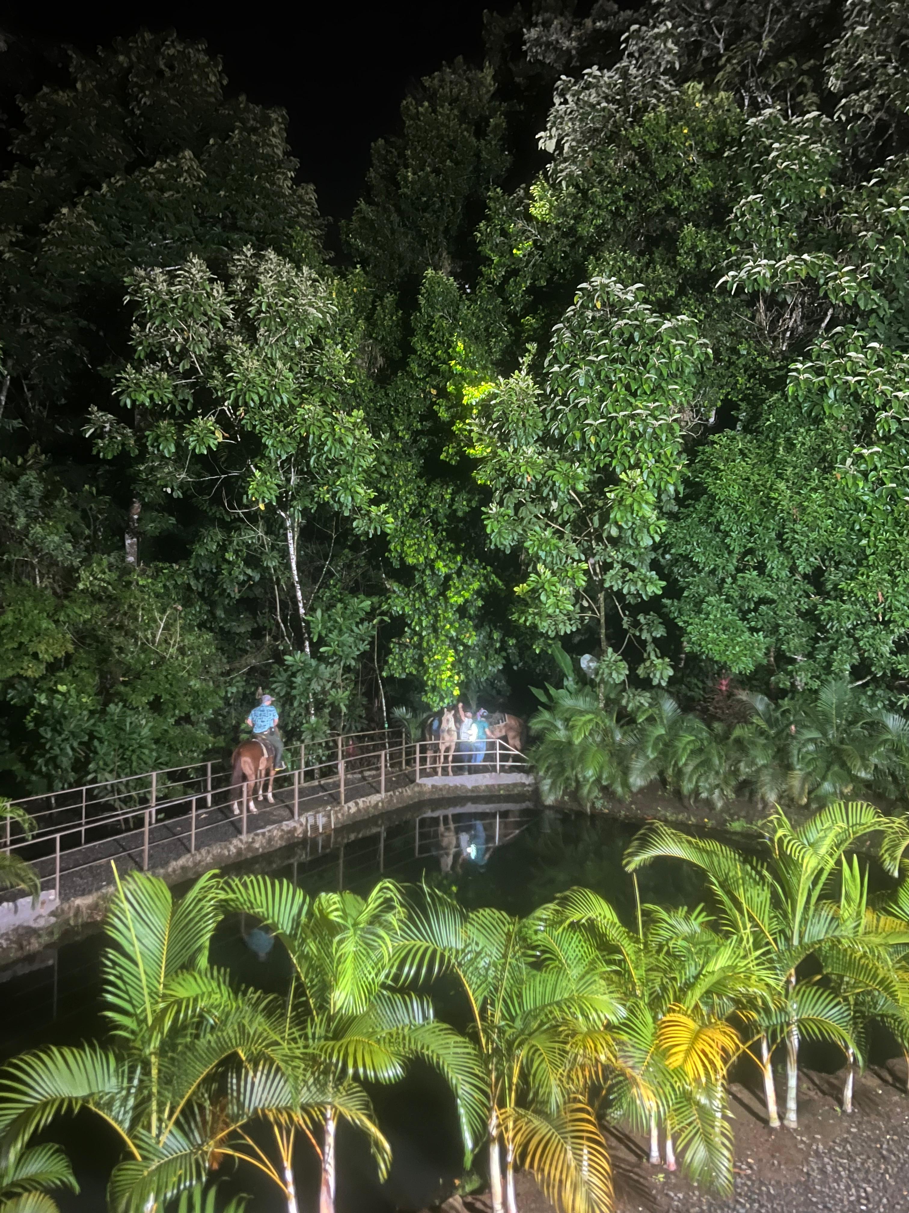 Reuniones familiares